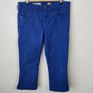 Pilcro The Stet Slim Crop Jeans Blue Size 29 Anthropologie Stretch Denim